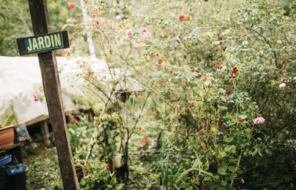 Photo du jardin de Genera Campos Garcia