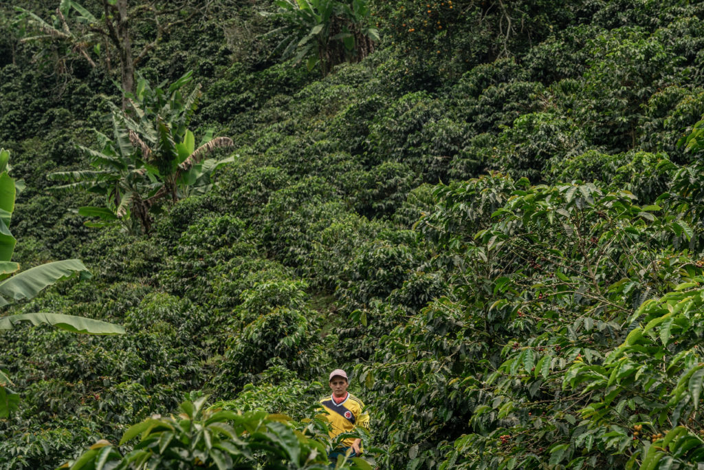 colombia-coffee-climate-fairtrade
