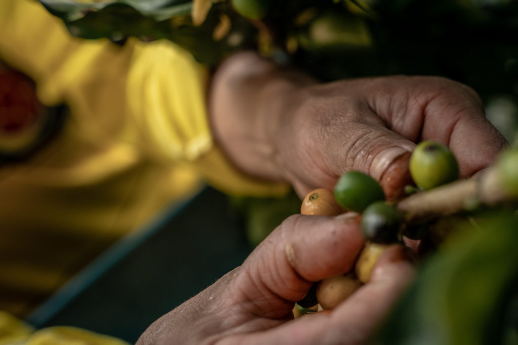 cop-26-climate-justice-fairtrade