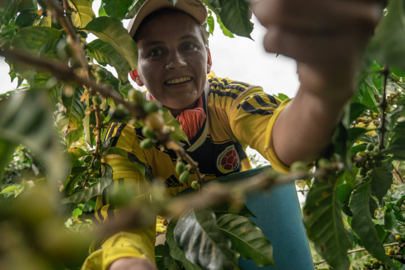 cop-26-climate-justice-fairtrade