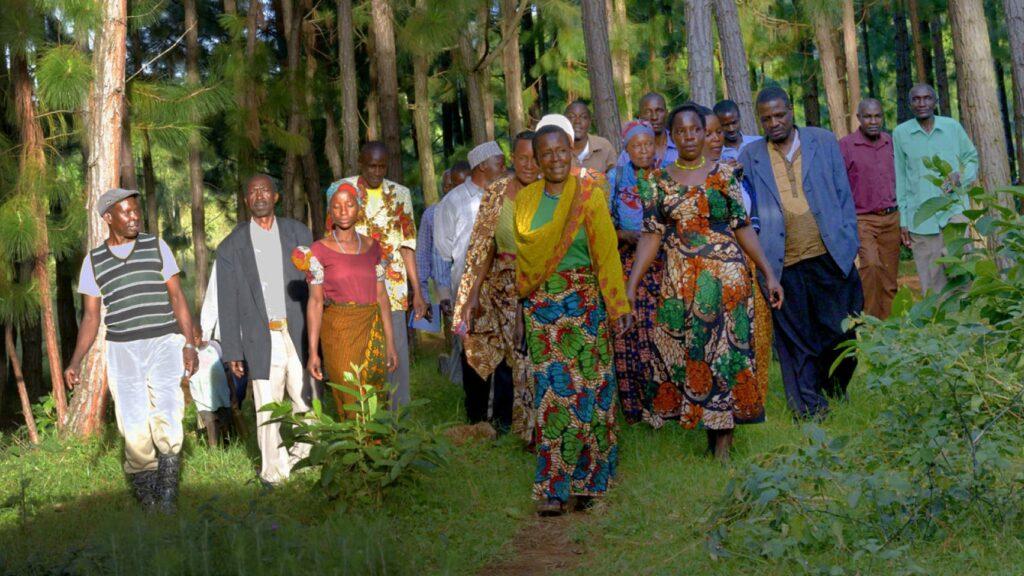 Fairtrade Carbon Credits