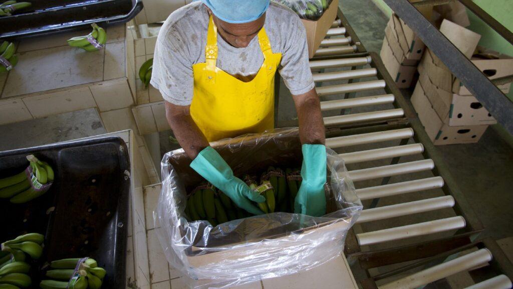 Fairtrade on Human Rights Due Diligence