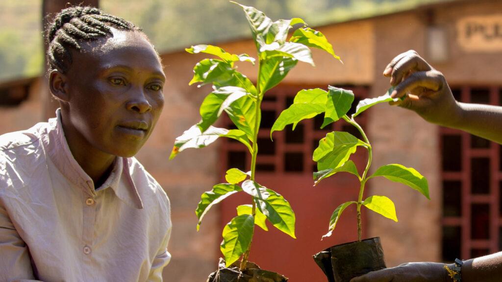 Fairtrade on Climate